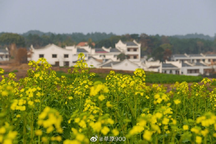 不过圣诞节的这座湘南小城，把中国传承千年的春分民俗过得比春节还热闹