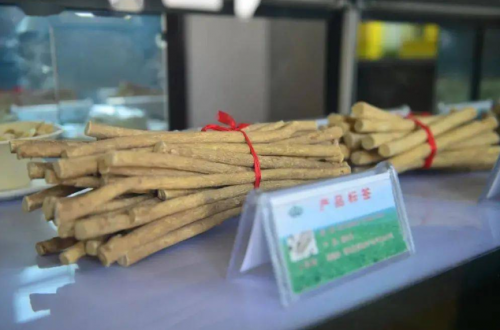 扬子江药业集团锁定北纬41°黄金纬度带，保障有机黄芪好品质